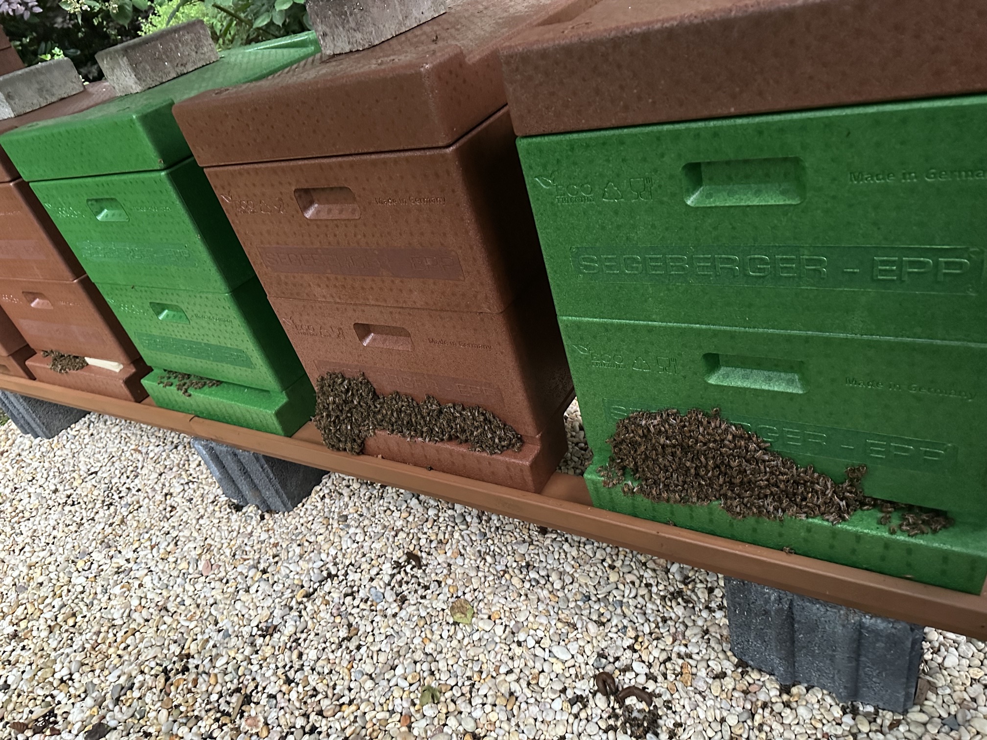 Bienenstöcke am Bienenstand in Reinfeld